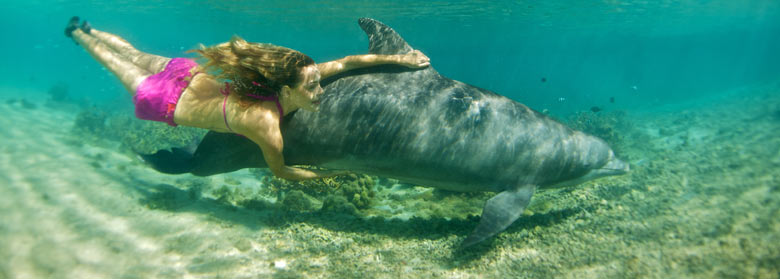 Nager avec les dauphins en Polynésie